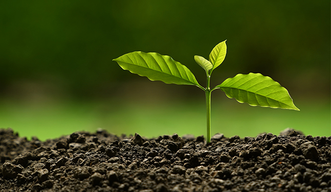 ロンサン輸出入株式会社